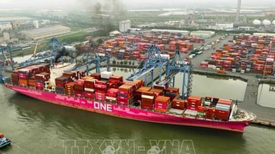 Hoa Kỳ giảm thuế đối ứng với Việt Nam xuống còn 20%