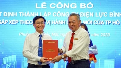 EVNHCMC thành lập 9 công ty điện lực mới sau sáp nhập