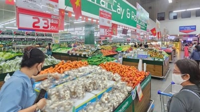 Trứng, thịt... vào chương trình kiểm soát chất lượng hàng hóa TP.HCM