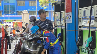 Xăng sinh học E10 có ảnh hưởng gì với động cơ ô tô, xe máy?