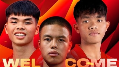 Đại gia Ninh Bình FC trở thành 'vườn ươm' cầu thủ trẻ: Tin vui cho V-League