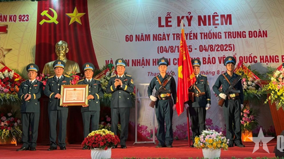 Trung đoàn Không quân 923 đón nhận Huân chương Bảo vệ Tổ quốc hạng Ba