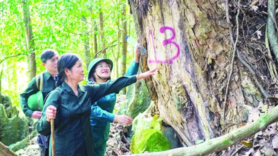 Khơi dậy tiềm năng du lịchcác khu bảo tồn