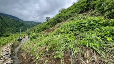 Cảnh báo nguy cơ mất an toàn giao thông trên tuyến đường Sì Choang – Ma Lù Thàng