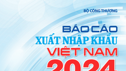 Báo cáo xuất, nhập khẩu 2024: