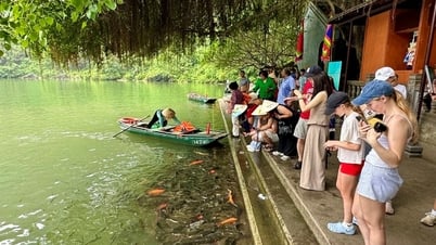 Ninh Bình: Công khai đường dây nóng hỗ trợ du lịch
