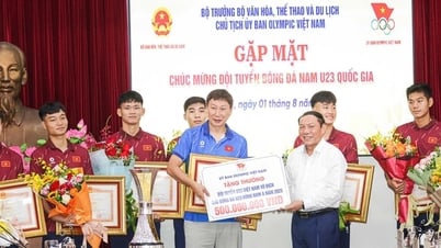 Bộ Văn hóa, Thể thao và Du lịch tổ chức gặp mặt và khen thưởng đội tuyển U23 Việt Nam