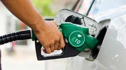 Những cửa hàng xăng dầu nào sẽ bán xăng E10?
