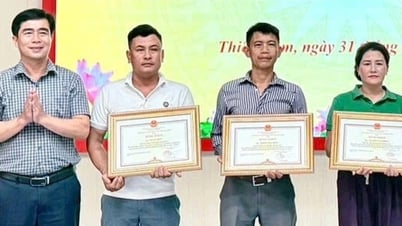 Vinh danh 3 ngư dân cứu 34 người trong vụ chìm tàu du lịch