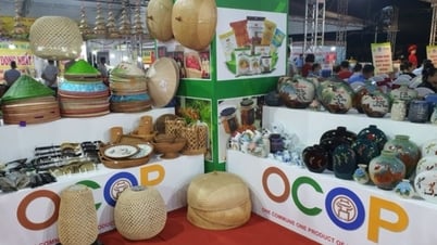 Giải bài toán xuất khẩu sản phẩm OCOP bằng công nghệ số