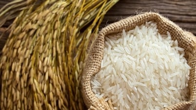 Giá lúa gạo hôm nay 01/08: Gạo nguyên liệu giảm nhẹ