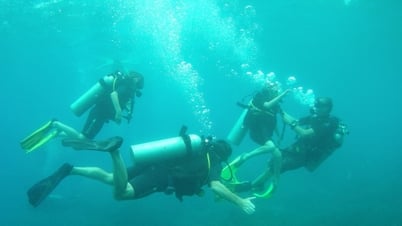 Khám phá “thế giới biển” Cù Lao Chàm