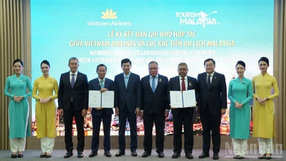 Việt Nam và Malaysia tăng cường kết nối hàng không, quảng bá điểm đến giữa hai nước