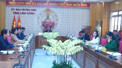 Bảo đảm sinh kế đánh bắt cá bền vững đối với ngư dân