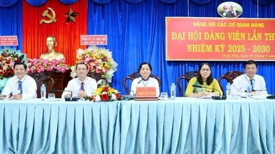 Đại hội Đảng bộ các Cơ quan Đảng xã Châu Phú, nhiệm kỳ 2025-2030