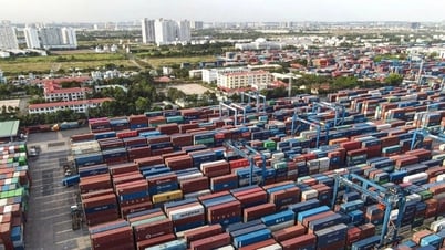 Thuế đối ứng 20%: Doanh nghiệp Việt cần làm gì để chinh phục thị trường Mỹ?