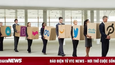 Kỹ sư phần mềm mất việc 4 lần trong 18 năm: ‘AI không phải là thủ phạm’