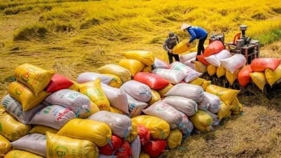 Gạo Việt giữ lợi thế ở phân khúc cao cấp