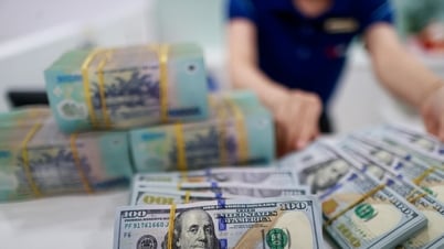 Lãi suất ngân hàng hôm nay 1/8/2025: Lãi suất...