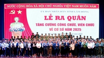 Lâm Đồng tăng cường hàng trăm cán bộ, công chức cấp...