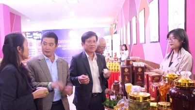 Quỹ tín dụng Nhân dân Lộc Sơn: Điển hình trong phong trào Phát triển kinh tế tập thể