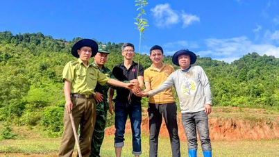 Góp lá vá rừng 2025 - Hành trình gieo mầm sống vì một Việt Nam xanh