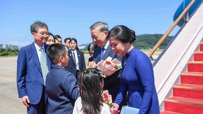 Phó Thủ tướng: Việt Nam và Hàn Quốc sẽ tiếp tục là bạn đồng hành phát triển