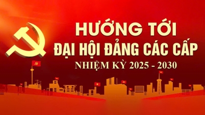 Einige wichtige Aufgaben im August des Ministeriums für Kultur und Sport der Provinz Ninh Binh