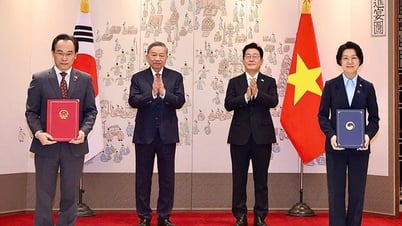 Tăng cường dạy tiếng Hàn trong trường phổ thông Việt Nam