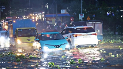 Wilayah Lam Dong meningkatkan keberkesanan pencegahan dan kawalan bencana.