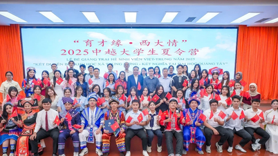 Sinh viên UEF đón hè bằng những chuyến học tập quốc tế liên tục