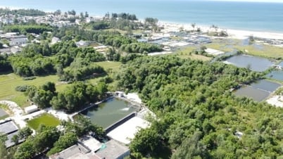 Quảng Trị hỗ trợ, tháo gỡ khó khăn Dự án LNG Hải Lăng