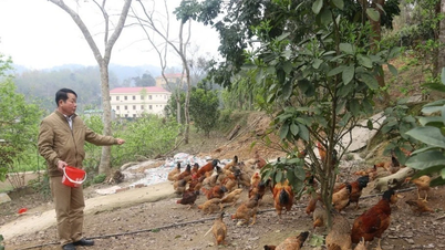 Cựu chiến binh Lạng Sơn giúp nhau thoát nghèo