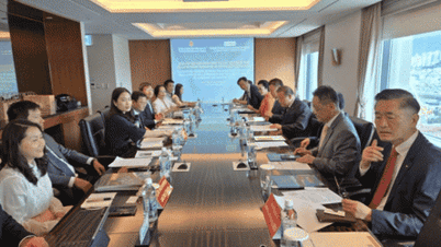 BCCI quan tâm đến Dự án Khu công nghiệp Phù Mỹ và Cảng Phù Mỹ