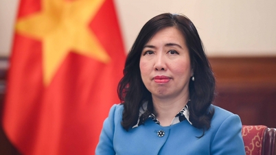 Công tác lãnh sự, bảo hộ công dân đóng góp vào thành tựu chung của đối ngoại Việt Nam