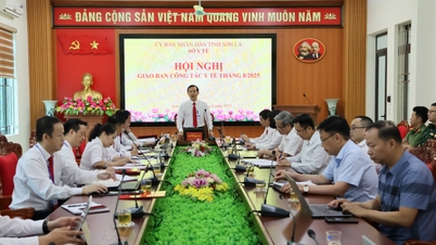 AUGUST 2025 HEALTHCARE WORK REVIEW MEETING