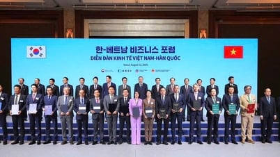 Tổng Bí thư Tô Lâm: Hợp tác Việt Nam - Hàn Quốc sẽ tạo nên ‘kỳ tích sông Hồng’