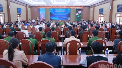 Lâm Đồng khởi động phong trào “Bình dân học vụ số”