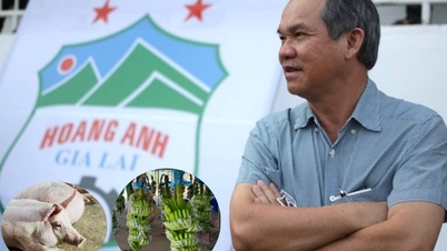 Hoàng Anh Gia Lai của Bầu Đức xóa sạch lỗ