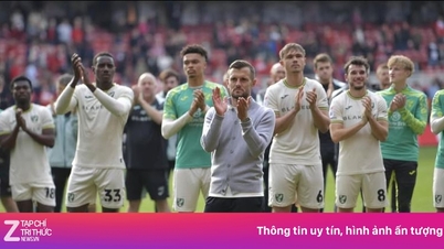 Wilshere chê công việc được Arsenal mời