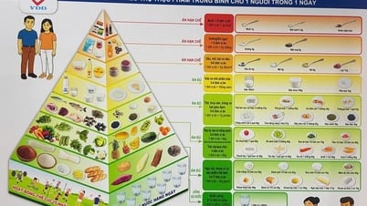 Việt Nam có 7 tháp dinh dưỡng theo nhóm tuổi