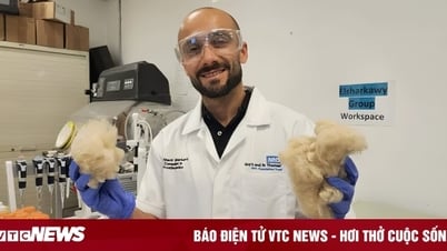 Kem đánh răng làm từ tóc