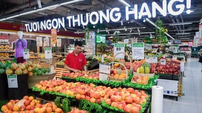 Masan Với Hành Trình Kiến Tạo Giá Trị