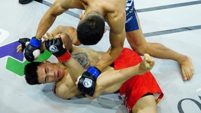 Lion Championship 25 ở Cam Ranh, 5 trận tranh đai khốc liệt