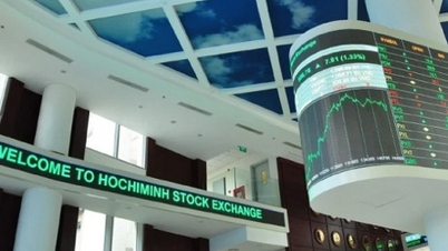 HoSE có thêm 2 bộ chỉ số đầu tư VN50 Growth và VNMITECH