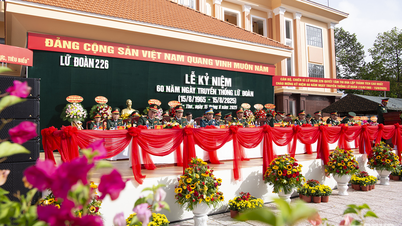 Lữ đoàn Pháo Phòng không 226: Đoàn kết hiệp đồng, làm chủ phòng không, lập công xuất sắc