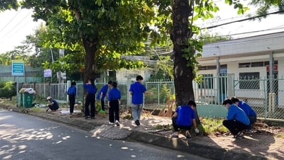 Thiết thực các hoạt động chào mừng Đại hội đại biểu Đảng bộ xã Thới Bình, nhiệm kỳ 2025 - 2030.