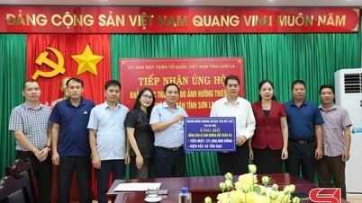 Tiếp nhận ủng hộ khắc phục thiệt hại do ảnh hưởng thiên tai