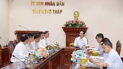 Đồng Tháp: Đẩy nhanh tiến độ giải phóng mặt bằng các dự án truyền tải điện