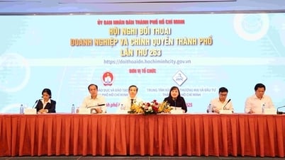 TP Hồ Chí Minh gỡ khó cho giáo dục ngoài công lập sau sáp nhập